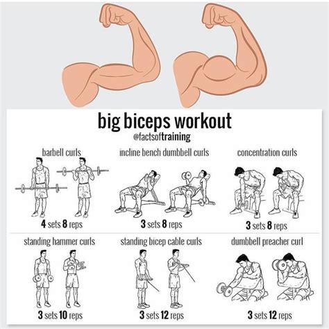 big muscle|Build Huge Muscles: 12 Week Workout Program to Get Huge